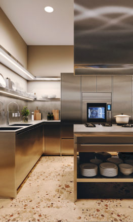 Островная проф кухня из нержавеющей стали AWELT